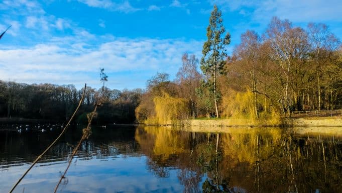 roundhay park